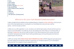 Lyons Baseball & Softball League
